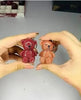 2 in 1 Keychain Bear Matte Lipstick Set - Pack of 2 Assorted Colors